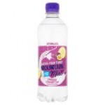 Mountain Mist Pineapple and Passion Fruit Flavoured Sparkling Spring Water 12x500ml