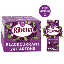 Retail Pack Ribena Blackcurrant 24x250ml Cartons